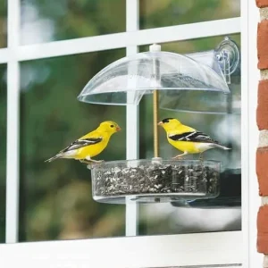 Droll Yankees Winner Window Feeder