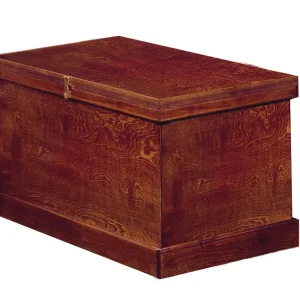 DS Standard Show Trunk