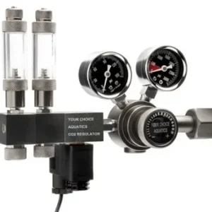 Dual Pro Co2 Regulator