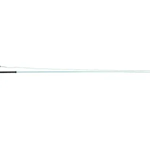 Dublin Brights Lunge Whip