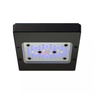 EcoTech Radion XR15 BLUE G6