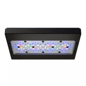 EcoTech Radion XR30 PRO G6