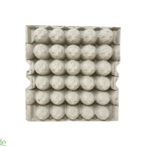 Egg Carton 10 Pack