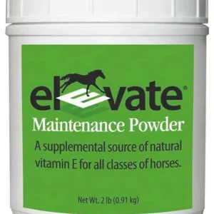 Elevate Maintenance Powder 2lb