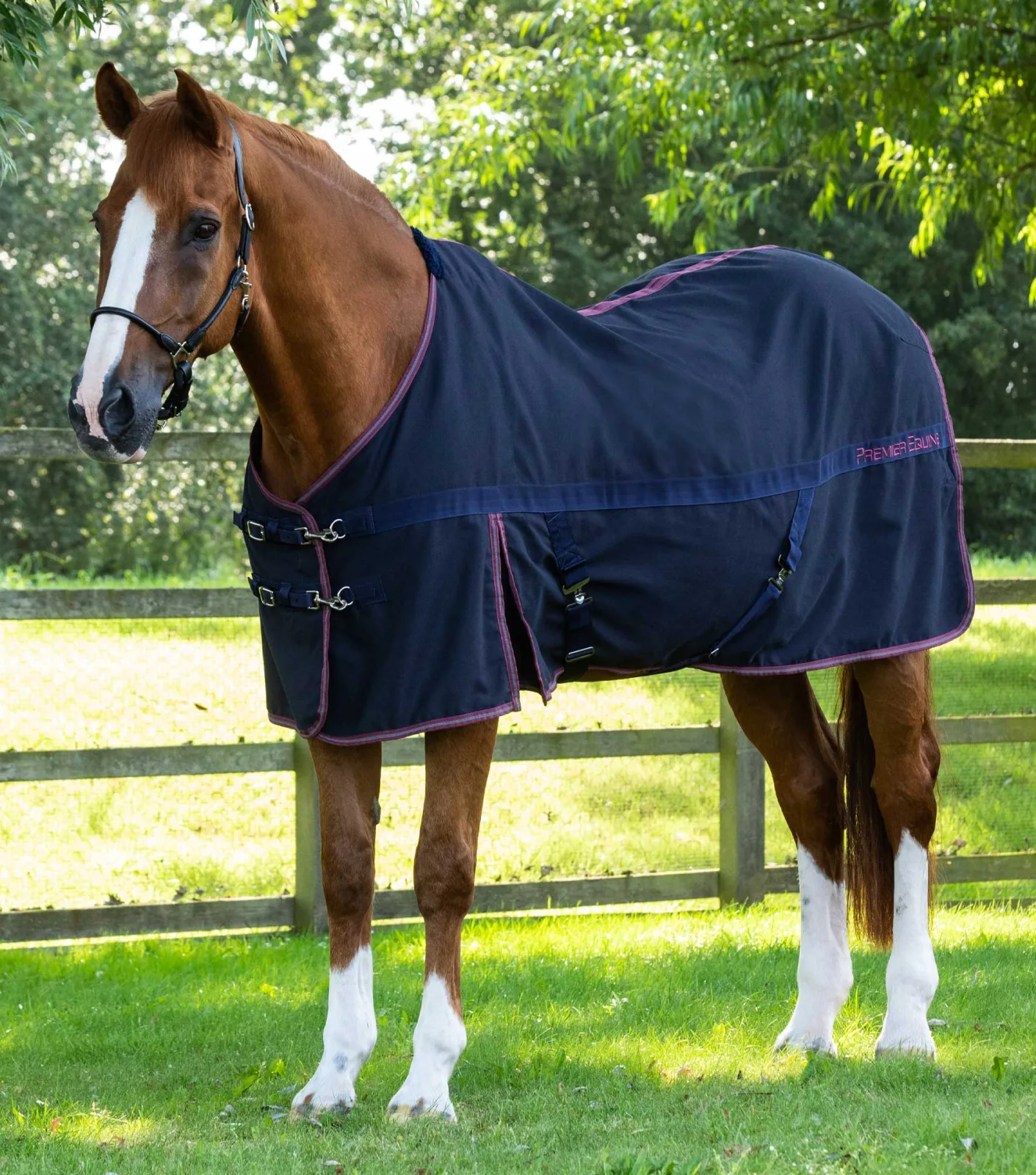 END OF LINE - Barrasso Stable Sheet Navy
