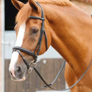 END OF LINE - Delizioso Snaffle Bridle