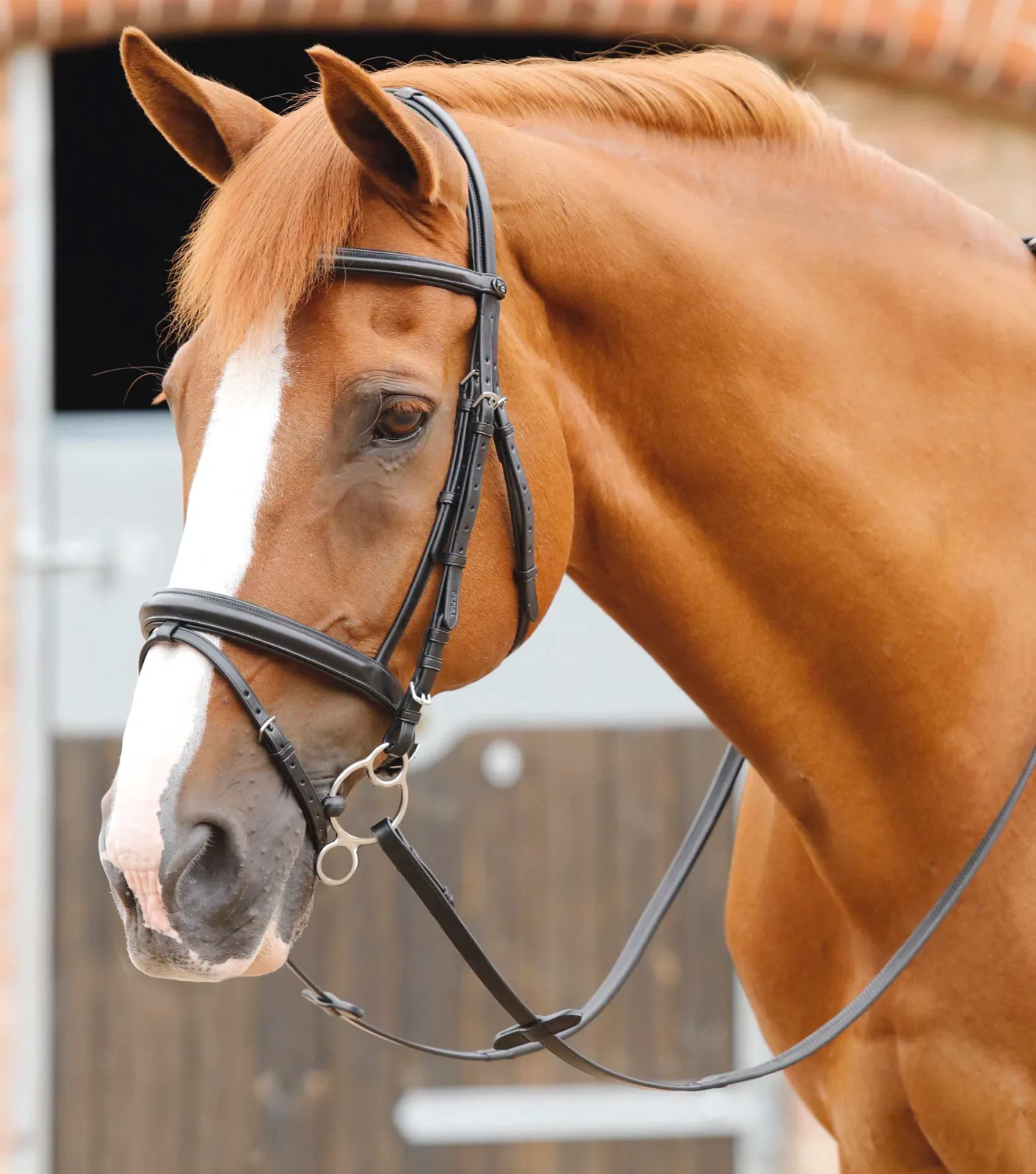 END OF LINE - Delizioso Snaffle Bridle