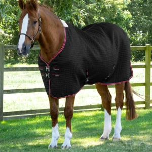 END OF LINE SALE- Dry-Tech Horse Cooler Rug Black