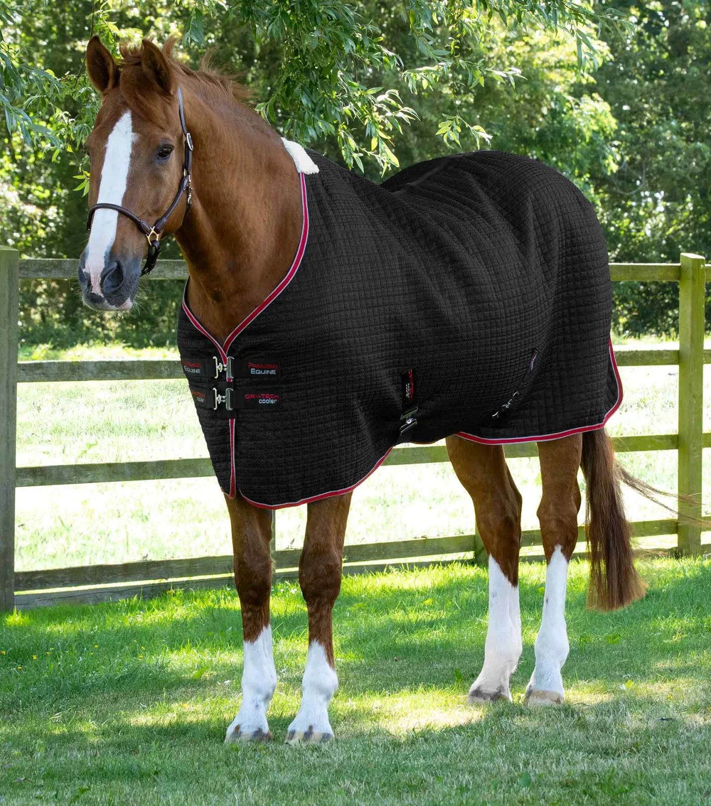 END OF LINE SALE- Dry-Tech Horse Cooler Rug Black