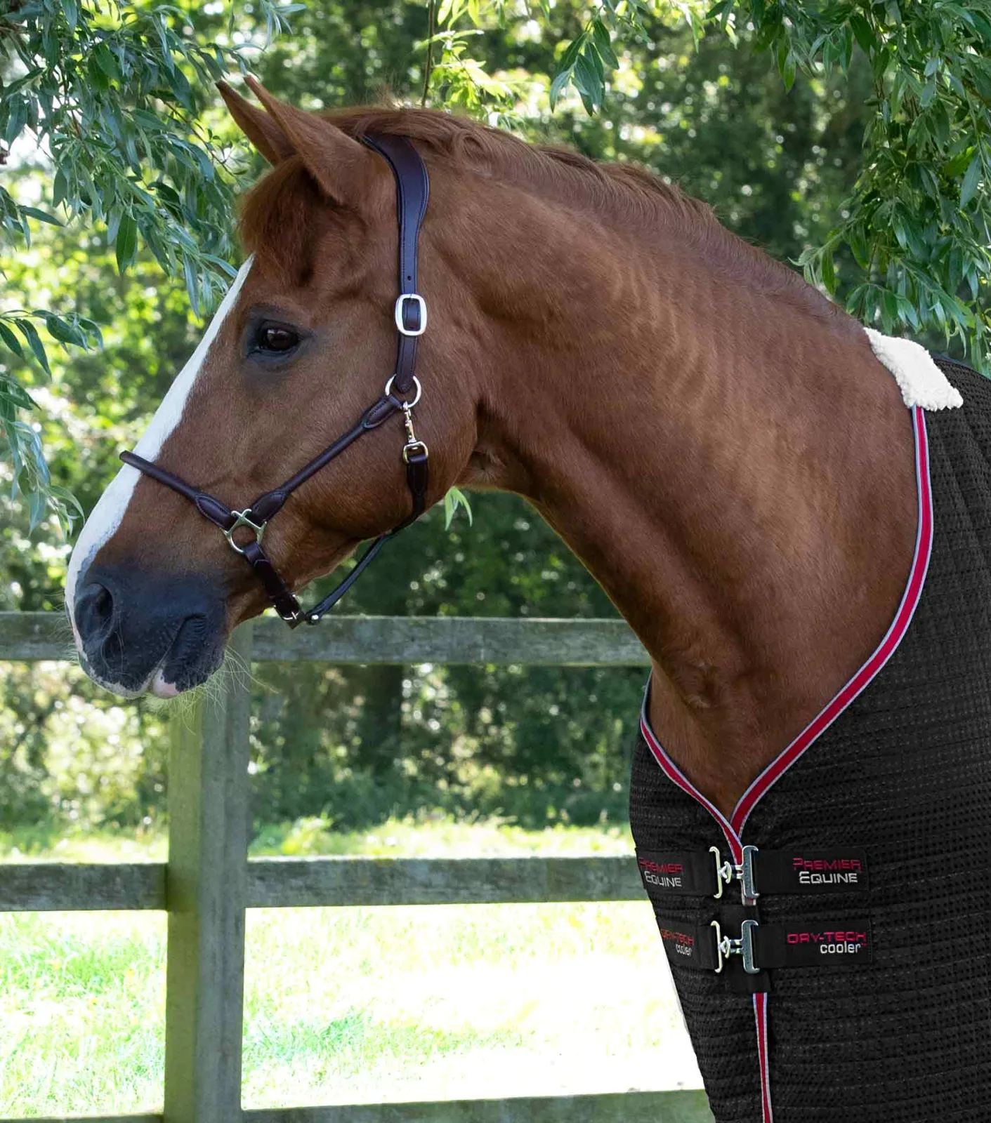 END OF LINE SALE- Dry-Tech Horse Cooler Rug Black - Image 2