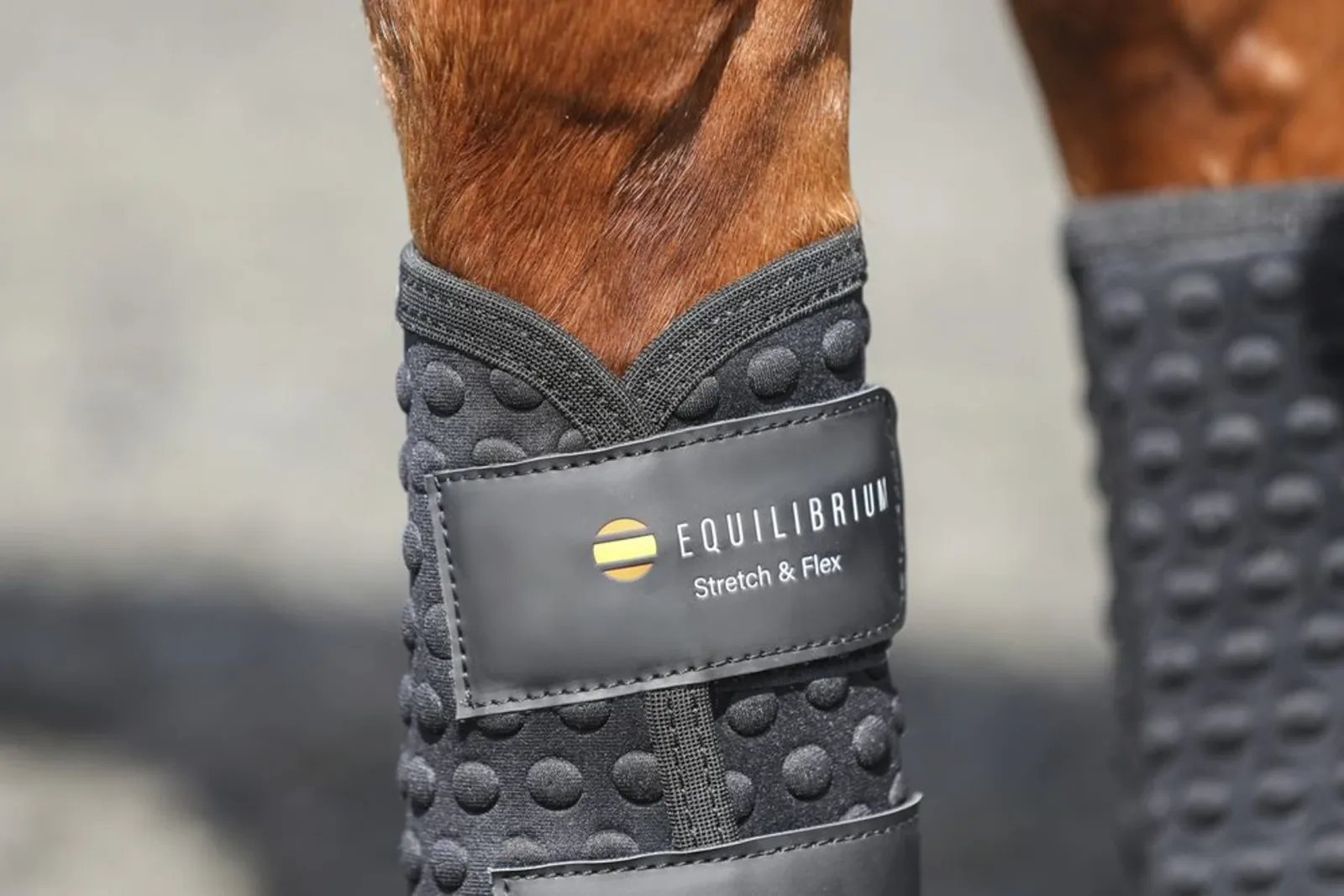 Equilibrium Stretch & Flex Flatwork Wraps - Image 2