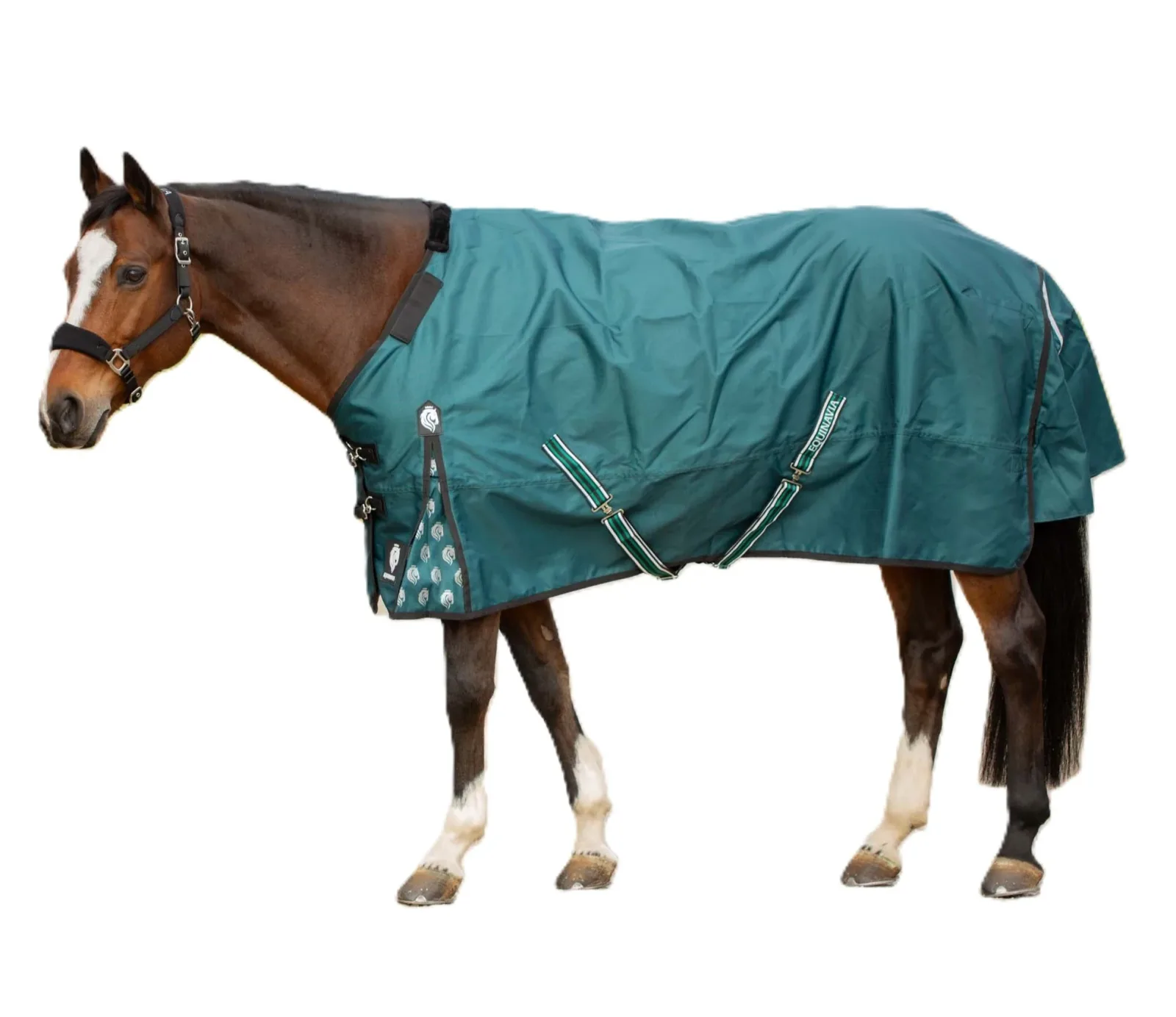 Equinavia Arktis TO Blanket 100g - Image 2