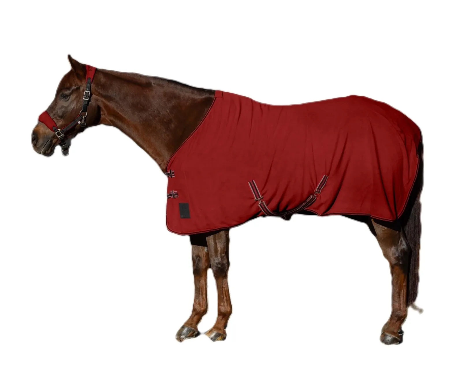 Equinavia Norse Fleece Cooler - Image 2