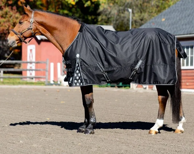 Equinavia Norse Lite Turnout Blanket 100g - Image 2