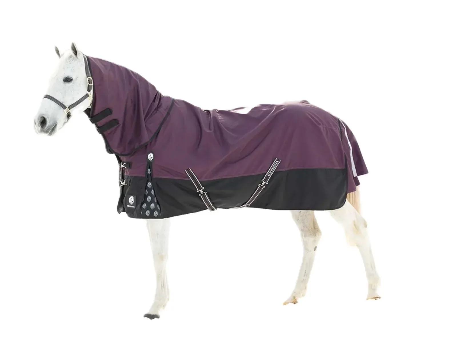 Equinavia Thunder 360 Detachable Neck Turnout Sheet - Image 2