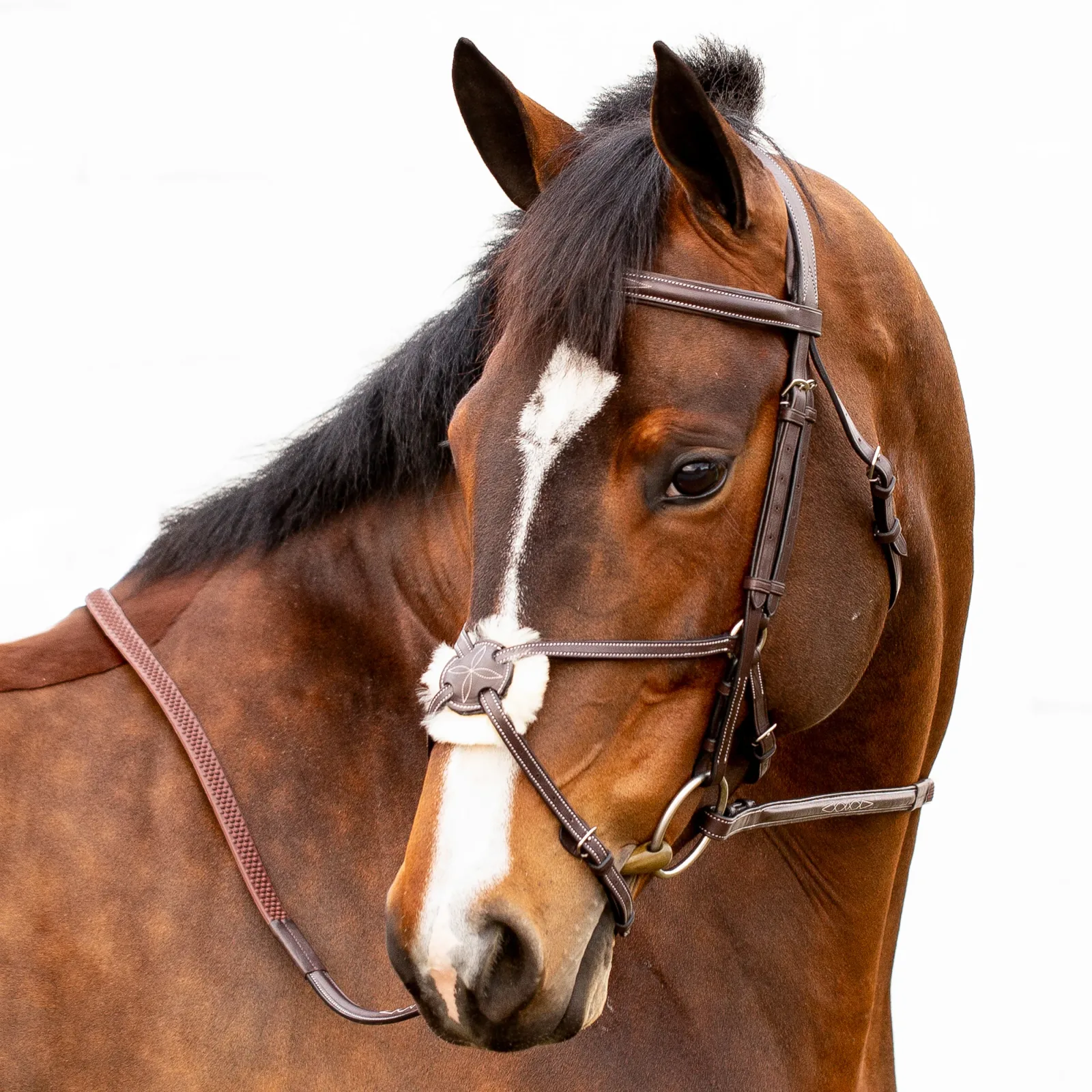 Equinavia Valkyrie Fancy-Stitched Figure-8 Bridle & Reins