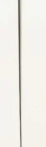 Equistar Carbon Shaft Dressage Whip 39 Black