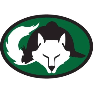 Euro Fox Helmet Vinyl Stickers Set Of 3