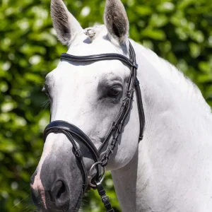 EX DISPLAY - Cassano Anatomical Snaffle Bridle with Flash Black