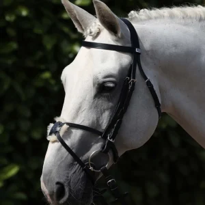 Exercise/Racing Bridle with Grackle Black