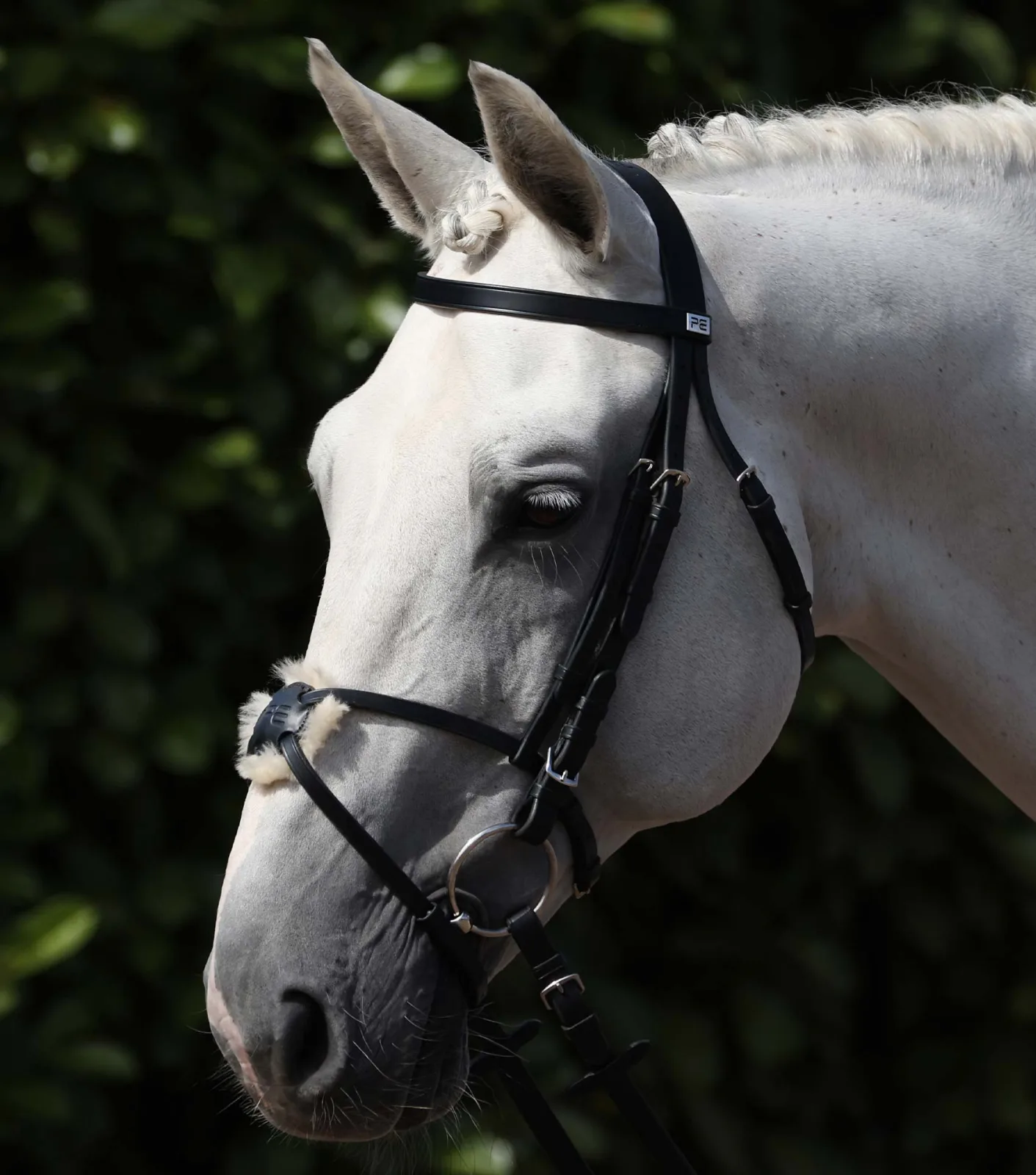 Exercise/Racing Bridle with Grackle Black
