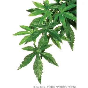 Exo Terra Abutilon, Large