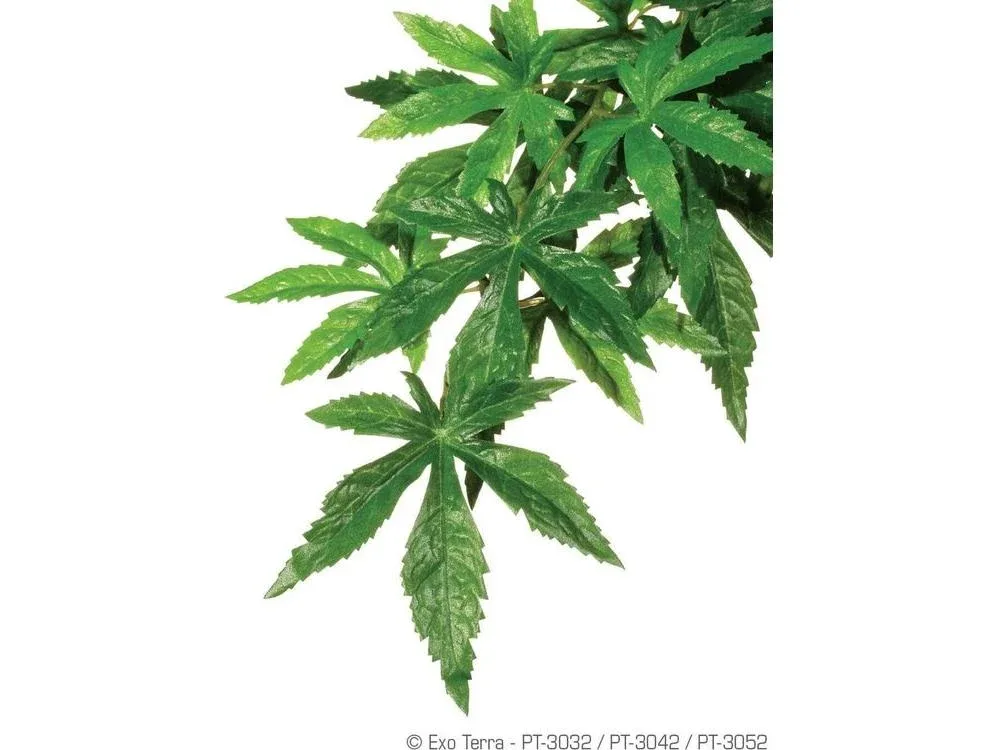 Exo Terra Abutilon, Small