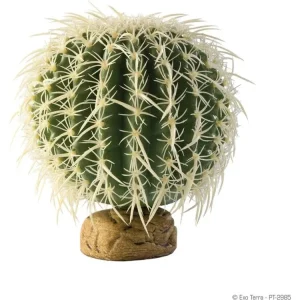 Exo Terra Barrel Cactus, Medium