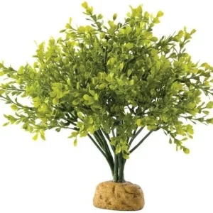 Exo Terra Boxwood Bush Terrarium Plant