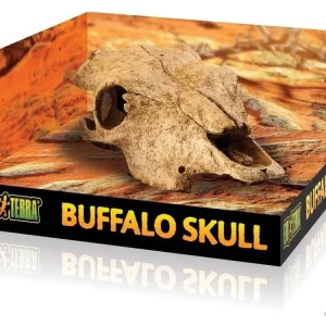 Exo Terra Buffalo Skull, Large