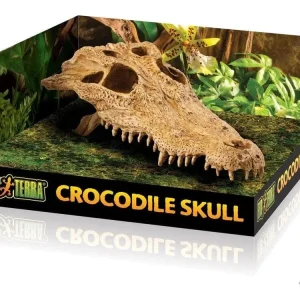 Exo Terra Crocodile Skull