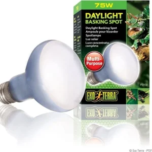 Exo Terra Daylight Basking Spot, 75w
