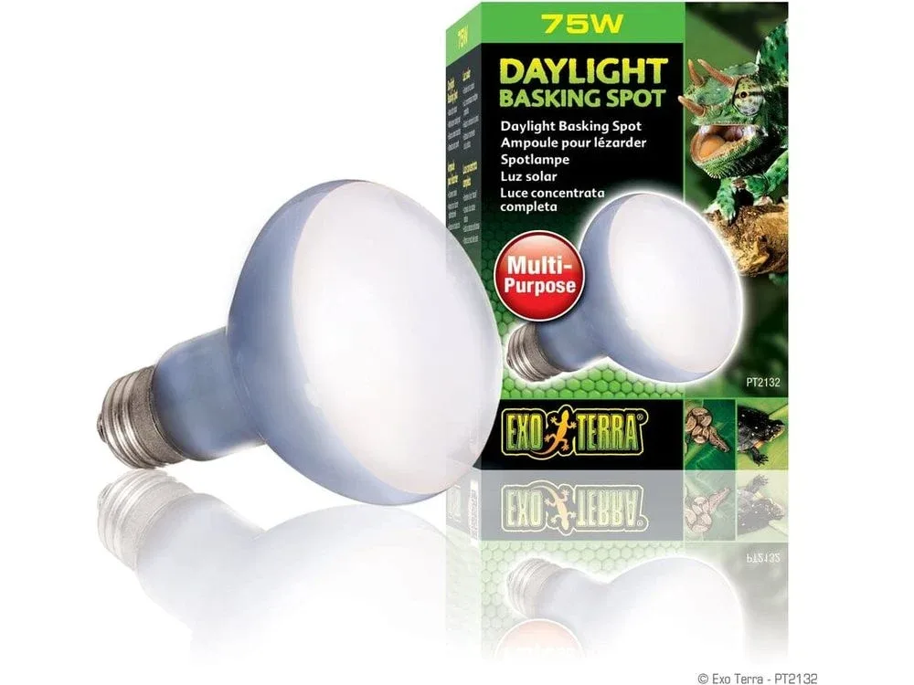 Exo Terra Daylight Basking Spot, 75w