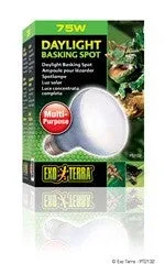 Exo Terra Daylight Basking Spot Lamp 75w Pt2132{L+7}(D)