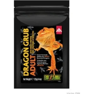 Exo Terra Dragon Grub Adult, 4.4oz