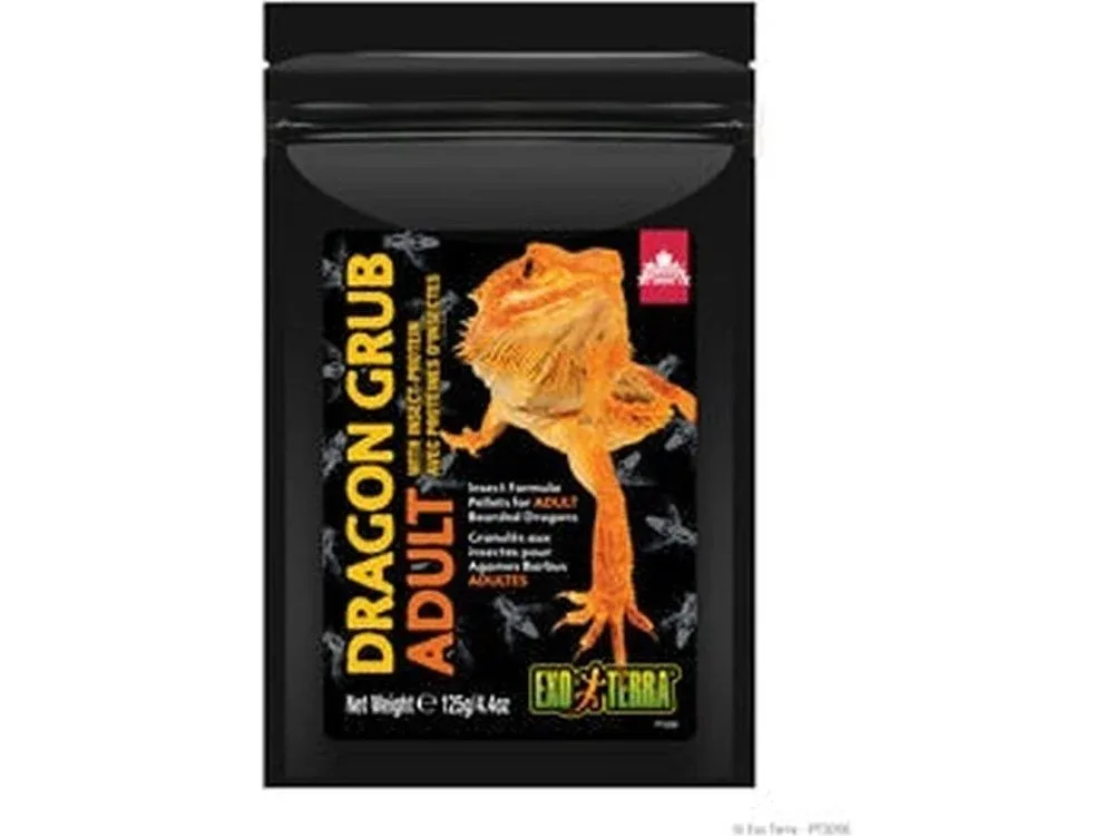 Exo Terra Dragon Grub Adult, 4.4oz