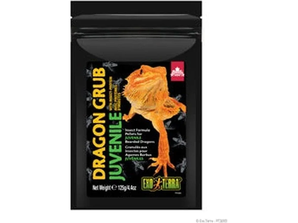 Exo Terra Dragon Grub Juvenile, 4.4oz