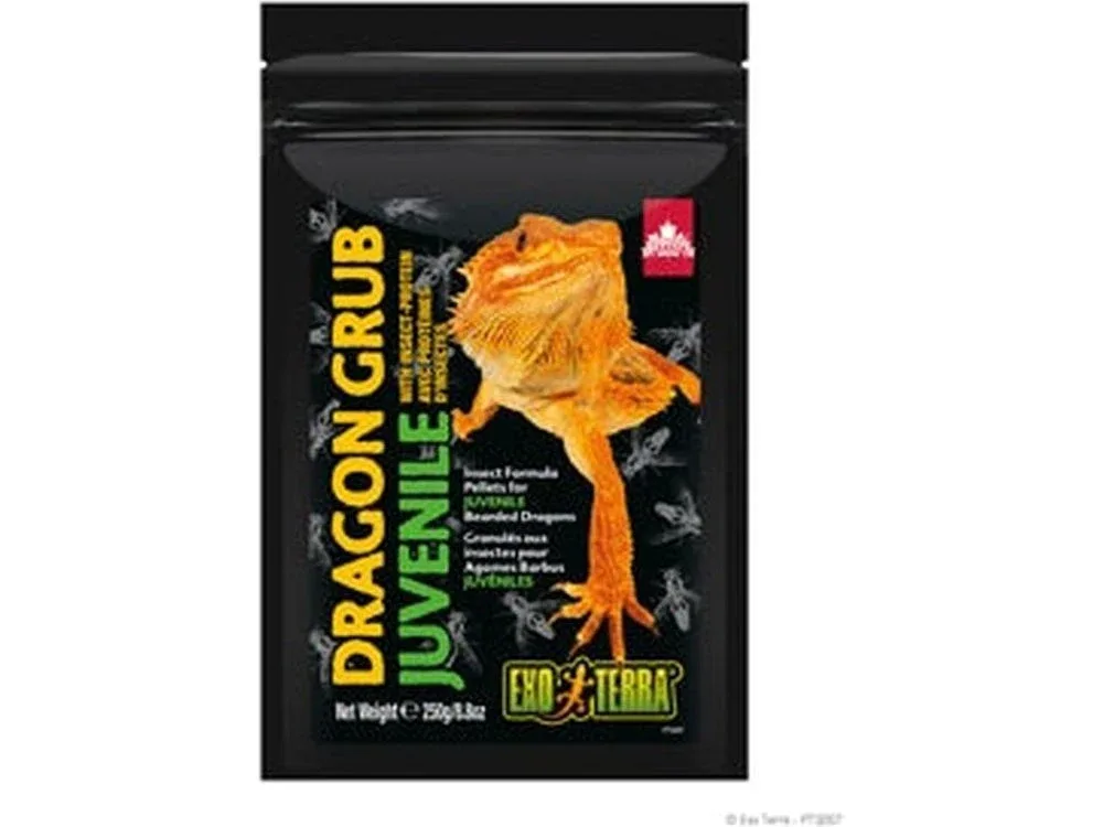 Exo Terra Dragon Grub Juvenile, 8.8oz