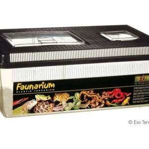 Exo Terra Faunarium, Flat Large
