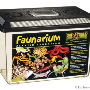 Exo Terra Faunarium, Large