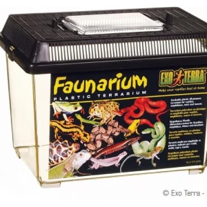 Exo Terra Faunarium, Small