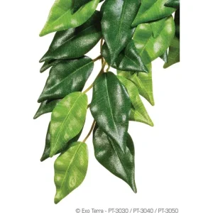 Exo Terra Ficus Silk Plant, Large