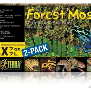 Exo Terra Forest Moss, 7qt (2 pack)