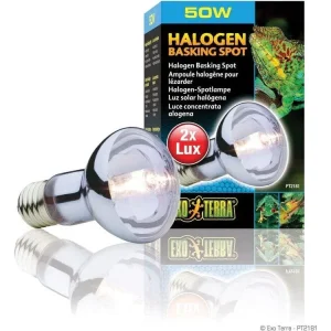 Exo Terra Halogen Basking Spot, 50w