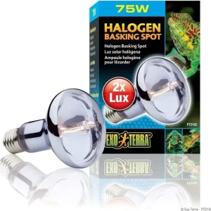Exo Terra Halogen Basking Spot, 75w