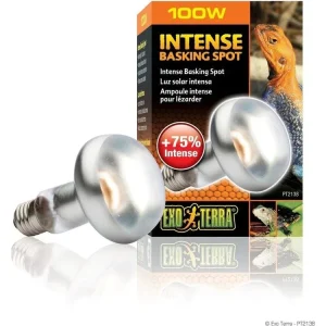 Exo Terra Intense Basking Spot, 100w