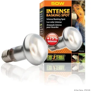 Exo Terra Intense Basking Spot, 50w