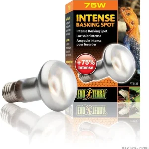 Exo Terra Intense Basking Spot, 75w