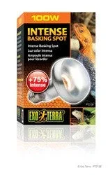 Exo Terra Intense Basking Spot Lamp 100w Pt2138{L+7} - Image 2