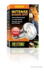 Exo Terra Intense Basking Spot Lamp 50w Pt2135{L+7} - Image 2